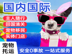 洛阳北郊机场邮寄国际宠物托运 【国